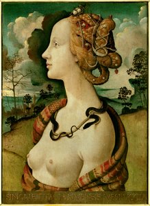 Portrait of a Woman Said to be Simonetta Vespucci