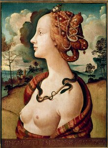 Portrait of a woman said to be Simonetta Vespucci