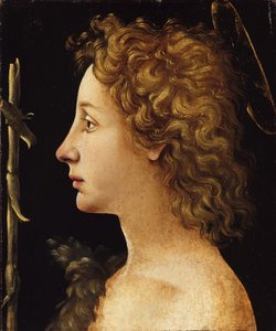 The Young Saint John the Baptist