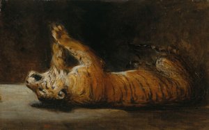 Playing Tiger