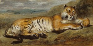 Tiger Resting by Pierre Andrieu