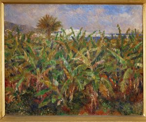 Banana Fields by Pierre Auguste Renoir