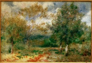 Sunny Landscape