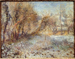 Snowy Landscape