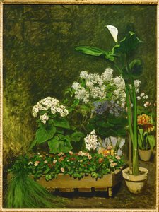 Still-life, Spring Flowers in a Conservatory