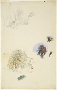 Studies of Trees and Foliage by Pierre Auguste Renoir