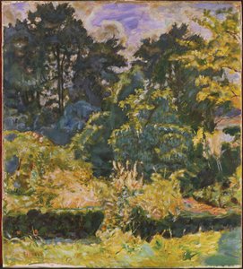 Woods in Summer by Pierre Bonnard