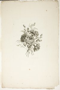 Bouquet with Carnations, from Collection of Different Bouquets of Flowers, Invented and Drawn by Jean Pillement and Engraved by P. C. Canot by Pierre Charles Canot
