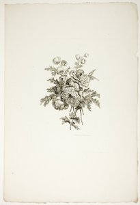 Bouquet with Peonies, from Collection of Different Bouquets of Flowers, Invented and Drawn by Jean Pillement and Engraved by P. C. Canot by Pierre Charles Canot