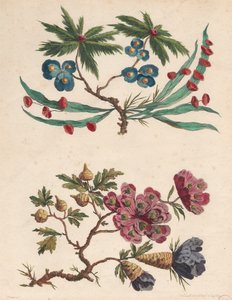 Two Sprays of Imaginary Flowers