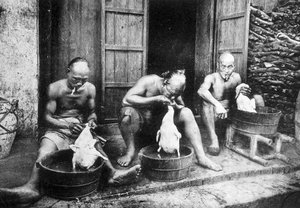 Chinese duck feathers, Saigon and its surroundings, phot. Dieulefils, c. 1900