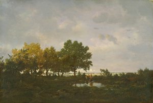 The Pond