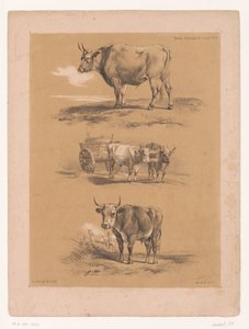 Three Studies of Oxen and Ox Cart by Pierre Frédéric Lehnert