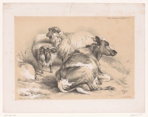 Study of Two Sheep and a Cow by Pierre Frédéric Lehnert
