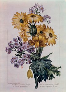 Bouquet of Suns and Other Flowers