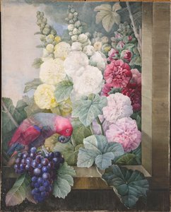 Hollyhocks, Grapes and a Parrot by Pierre Joseph Redouté