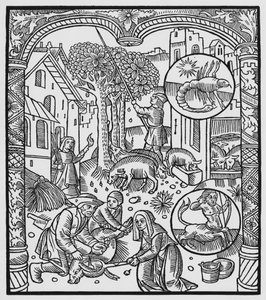 November, Killing the Pig and Harvesting Acorns, Scorpio, Illustration from the 