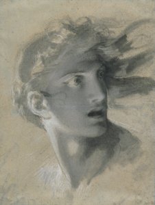 Head of Vengeance