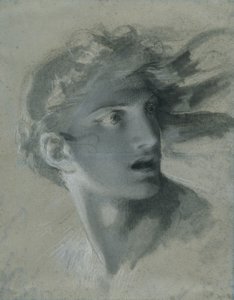 Head of Vengeance