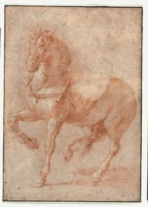 Study of Bucephalus for the Relief "Alexander and Diogenes" by Pierre Puget