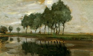 Landscape of trees near Gein