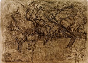 Orchard