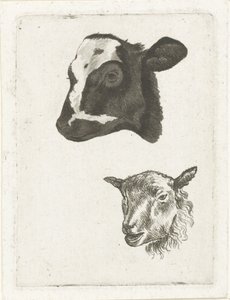 Head of a Black-Spotted Calf and Sheep by Pieter Barbiers (IV)