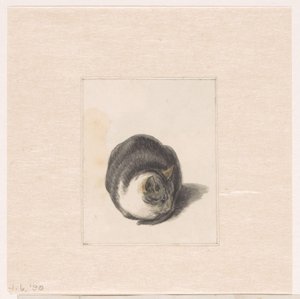 Seated Cat, Seen from the Front by Pieter Bartholomeusz. Barbiers