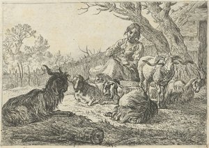Shepherdess Among Goats and Sheep (Various Animals) by Pieter Bodding van Laer