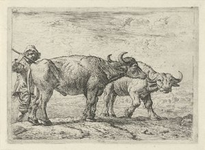 Two Buffaloes and a Shepherd (series title: Various Animals) by Pieter Bodding van Laer