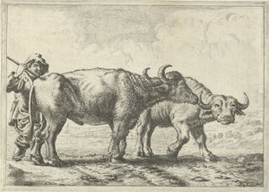 Two Buffaloes and a Shepherd by Pieter Bodding van Laer