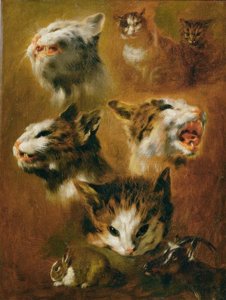 Animal Studies: Cats, Rabbits, and Goat
