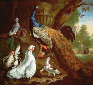 A Peacock in a Classical Landscape, 1719