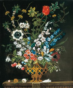 February, from The Twelve Months of Flowers, a floral calendar of still lifes