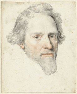Portrait of Prince Maurice