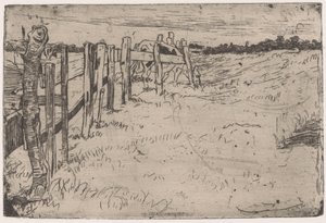 Grazing Cow by a Fence in a Meadow