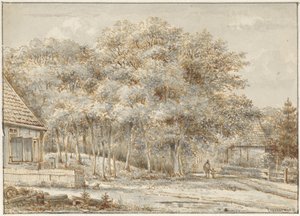 Forest Path with Two Houses