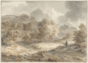 Hilly Landscape