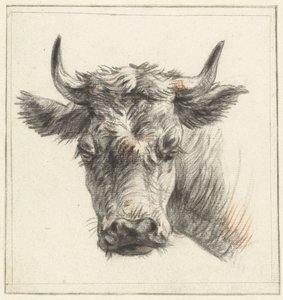 Head of a Bull by Pieter Gerardus van Os