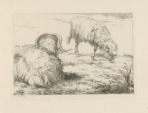 Two Rams in the Meadow (Sheep and Goats series)