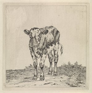 Landscape with Calf by Pieter Janson