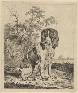 Sitting Partridge Dog