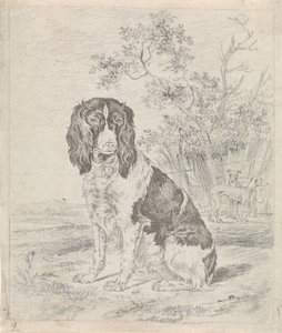 Sitting Partridge Dog