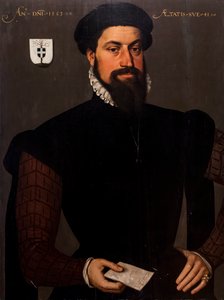 Portrait of a Man Aged 41