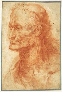 Study of an Old Man