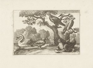 Hen with Chicks and Other Birds by Pieter Schenk (I) (attributed to)