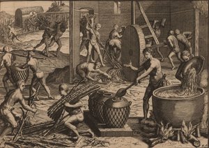 Slaves Process Sugar Cane and Make Sugar by Pieter Van der Aa
