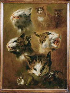 Head of a cat, a rabbit, a goat