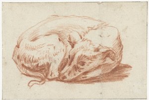Lying Dog