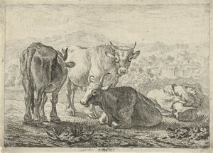 Three Cattle and a Sleeping Shepherd